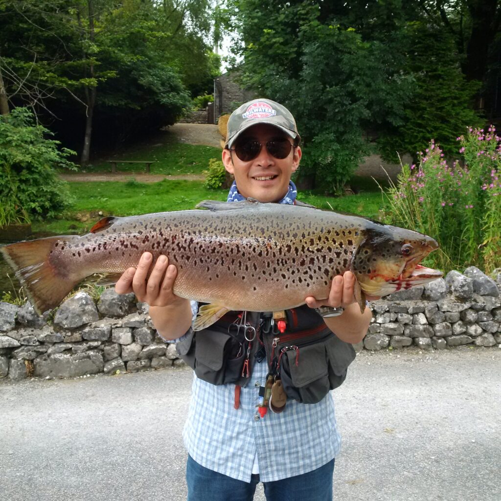 14.5lb Brownie Aug 2016